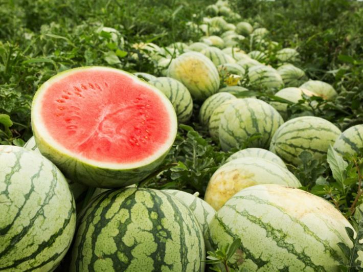 ما تأويلات ابن سيرين عن رؤية الرقي في المنام للعزباء؟