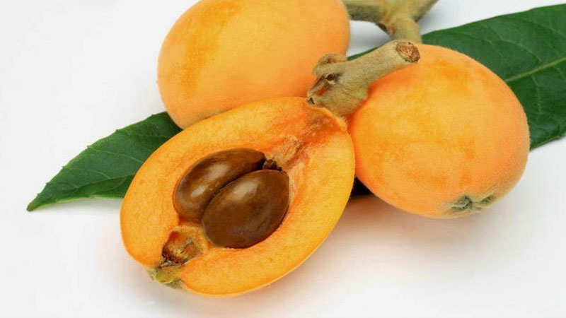 ما تأويل ابن سيرين لرؤية البوصاع في المنام؟