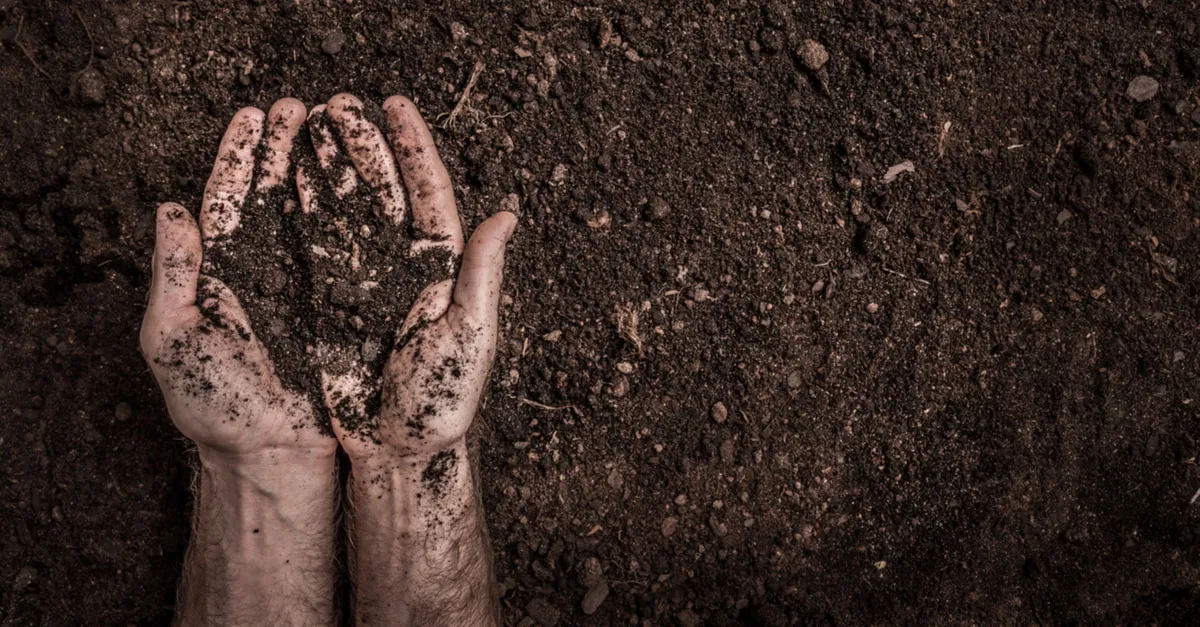 ما تأويلات ابن سيرين التراب الناعم في المنام؟