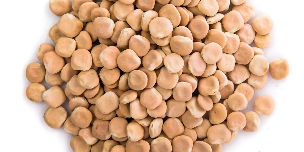 ما تأويلات ابن سيرين لرؤية الترمس فى المنام؟