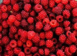 ما تأويلات ابن سيرين لرؤية التوت الأحمر في المنام؟