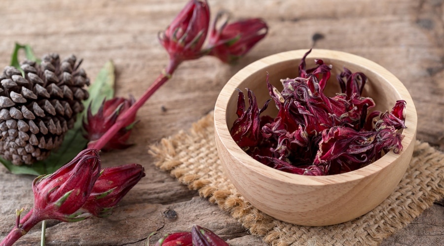 ما تأويل ابن سيرين لرؤية نبات الكركديه فى الحلم؟