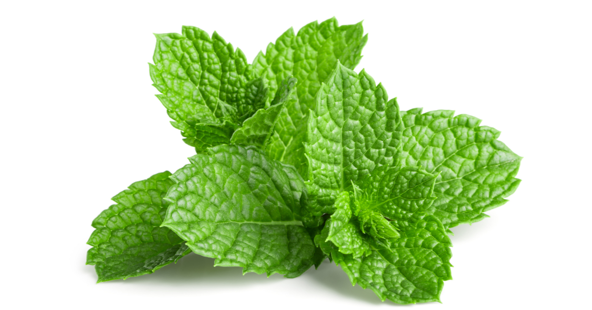 ما تأويل رؤية نبتة النعناع في المنام لابن سيرين؟