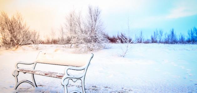 ما تأويلات ابن سيرين عن الحلم ببحر متجمد؟