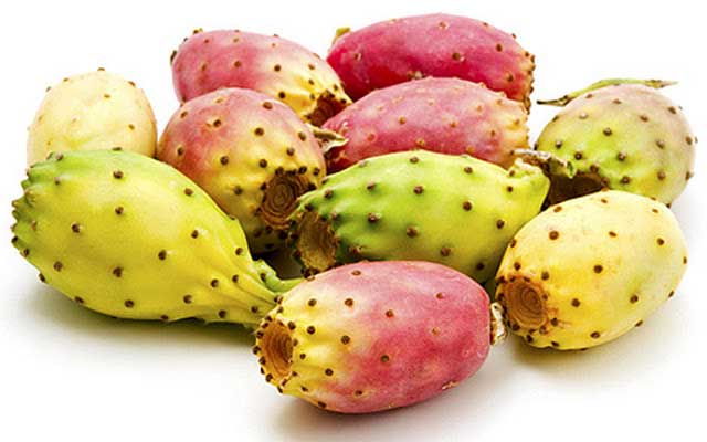 ما تأويل رؤية التين الشوكي في المنام لابن سيرين؟