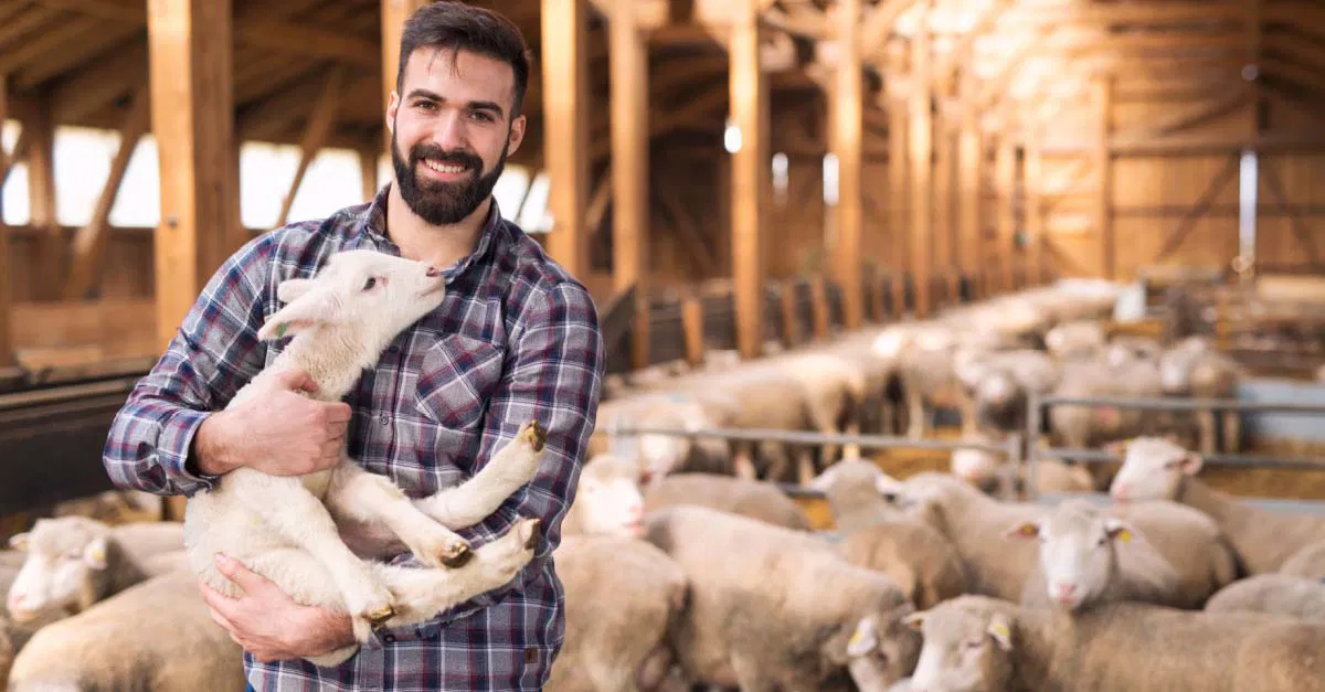 ما تفسير رؤية الحظيرة في المنام لابن سيرين؟