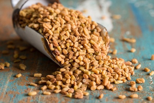 ما تفسير رؤية الحلبة في المنام للمتزوجة لابن سيرين؟