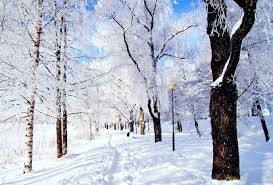 ما تفسيرات ابن سيرين لرؤية الثلج في منام المطلقة؟