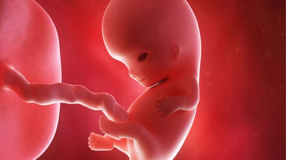 ما تأويلات الحلم بجنين صغير لابن سيرين؟