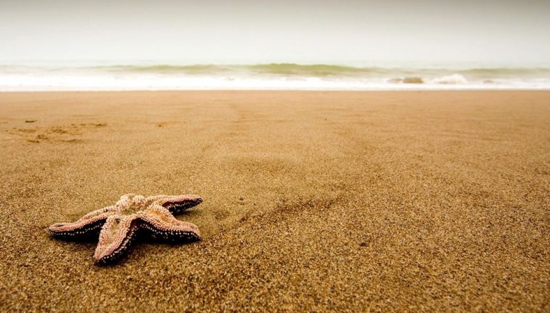 ما تفسير رؤية الرمله الصفراء فى المنام لابن سيرين؟