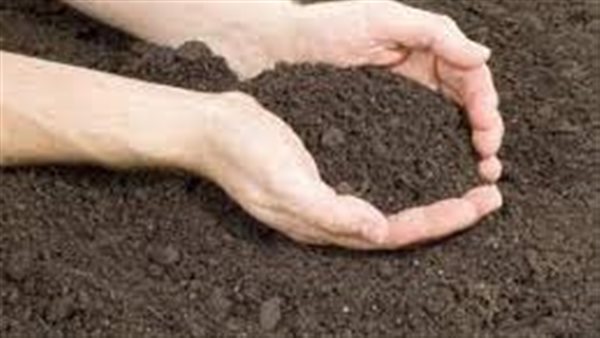 ما تأويلات ابن سيرين لرؤية الفحم في المنام لابن سيرين؟