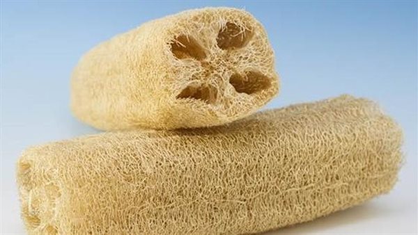 ما تفسير رؤية الليفة في المنام للعزباء لابن سيرين؟