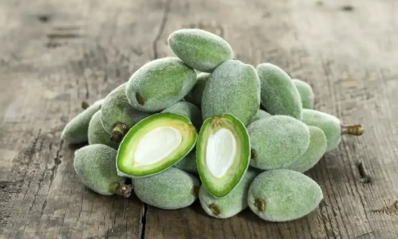 ما هو تفسير ابن سيرين عن رؤية اللوز الأخضر في المنام للحامل؟