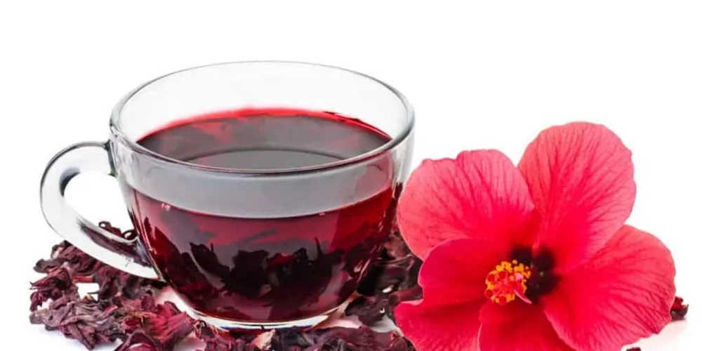 ما تفسير رؤية الكركديه فى الحلم لابن سيرين؟