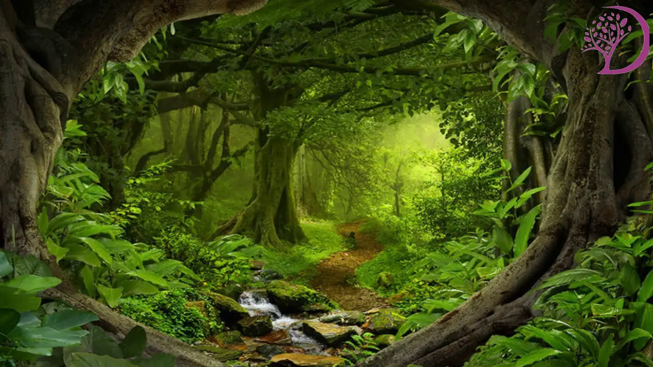 ما هو تأويل رؤية الغابة في المنام لابن سيرين؟