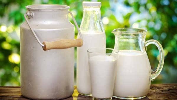 ما هو تفسير اللبن في المنام للعزباء لابن سيرين؟