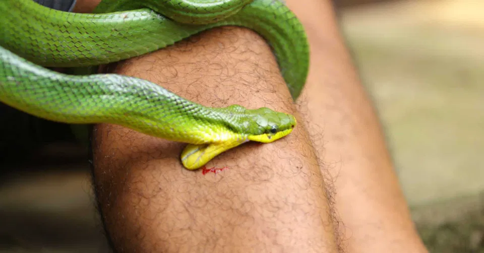 أهم 20 تفسير حلم لبس خاتم ذهب في اليد اليمنى للعزباء لابن سيرين